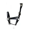 licol cuir personnalisable
