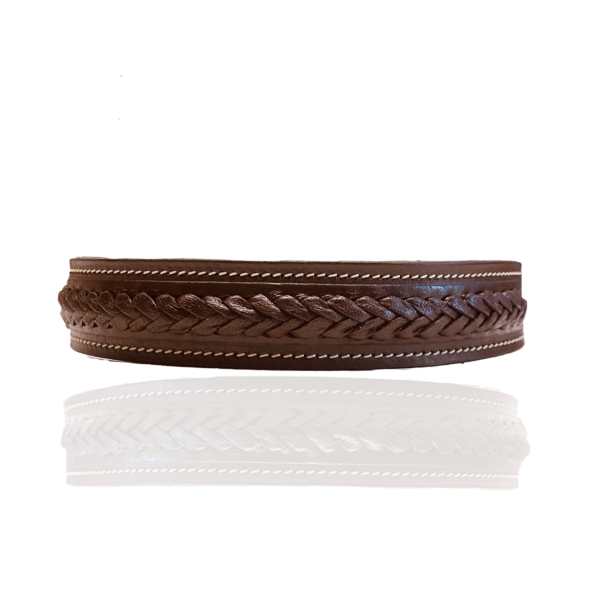 geflochtenes lederhalsband hund