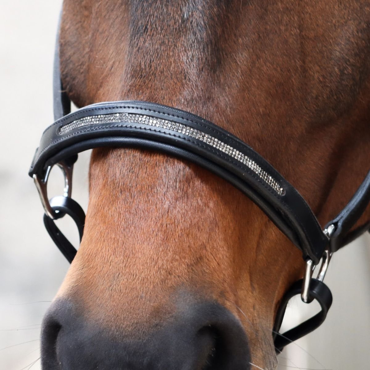 Licol personnalisable en cuir Galaxie – Image 3