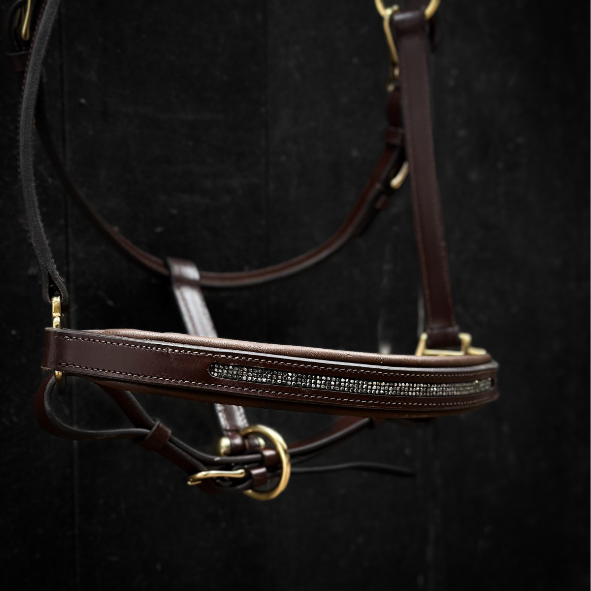 Licol personnalisable en cuir Galaxie