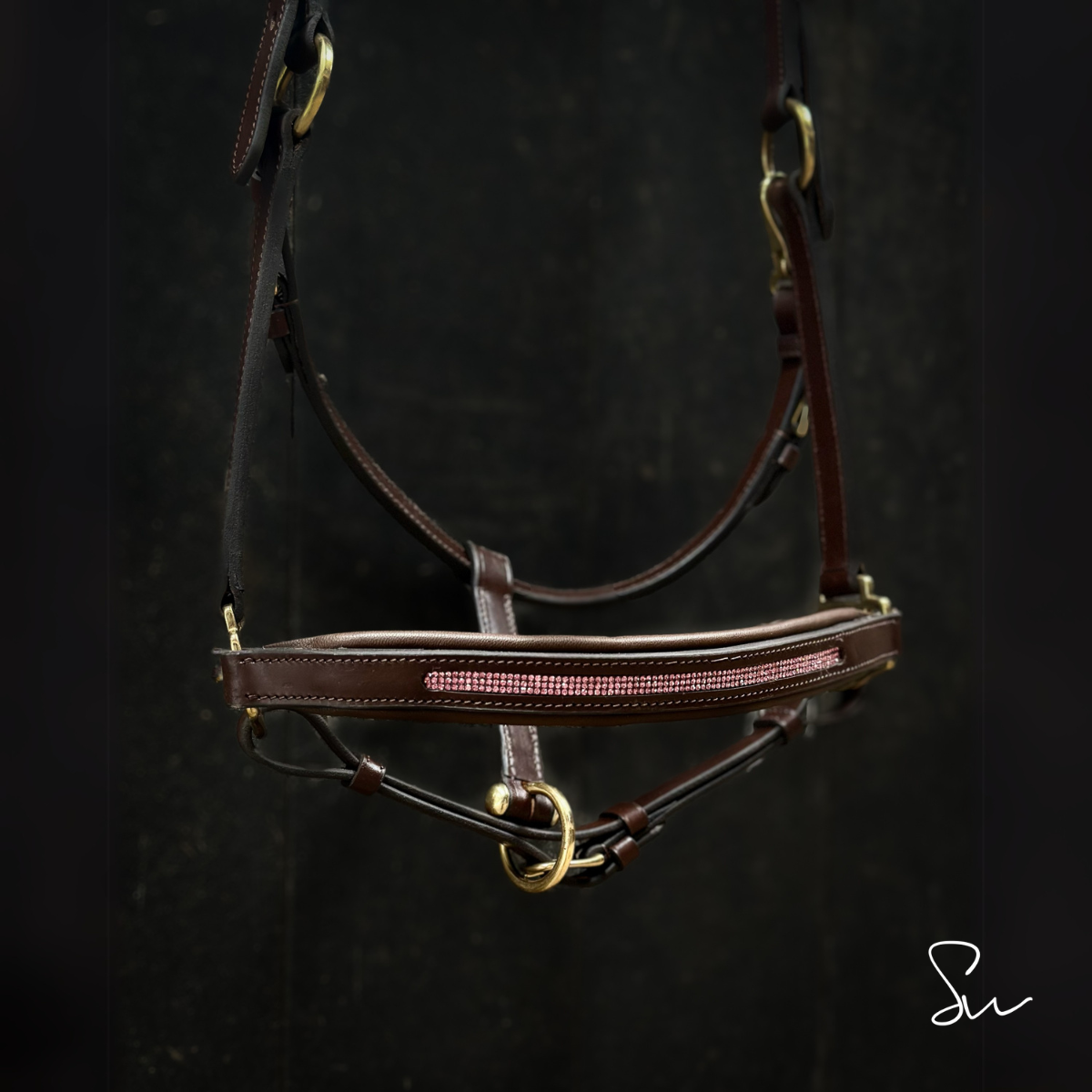 Licol personnalisable en cuir Galaxie – Image 7