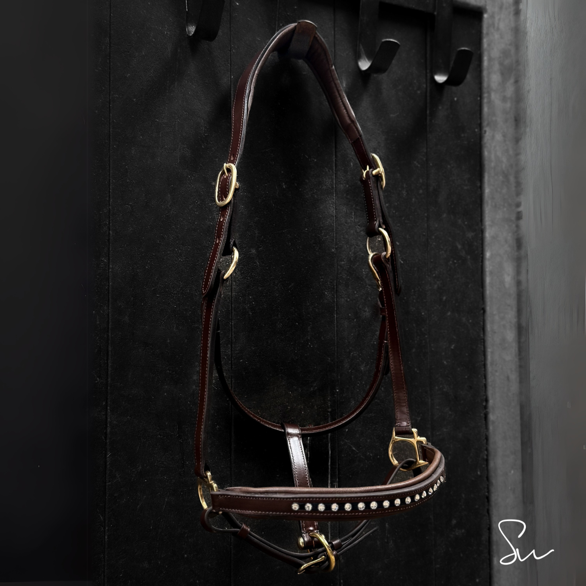 Licol personnalisable en cuir Stellar – Image 5