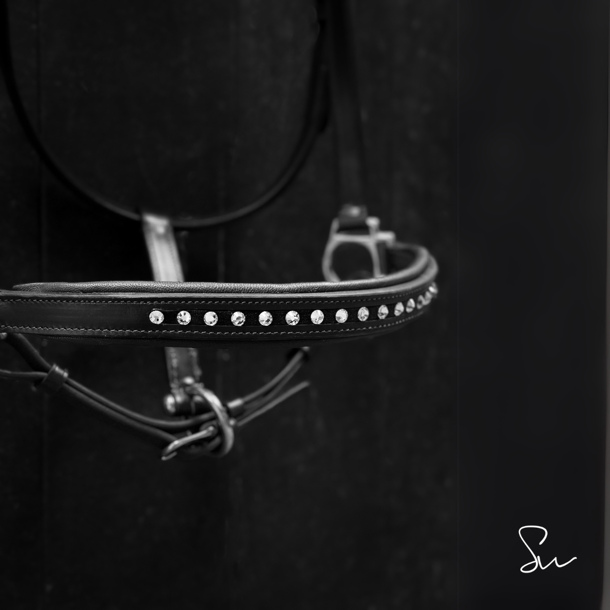 Licol personnalisable en cuir Stellar – Image 3
