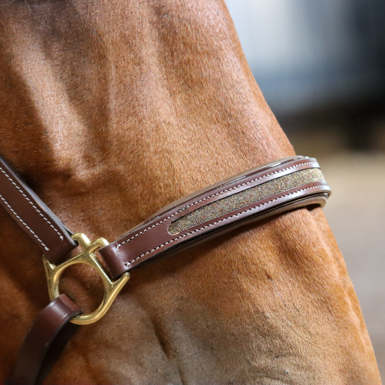 Licol personnalisable en cuir Sparkle – Image 2