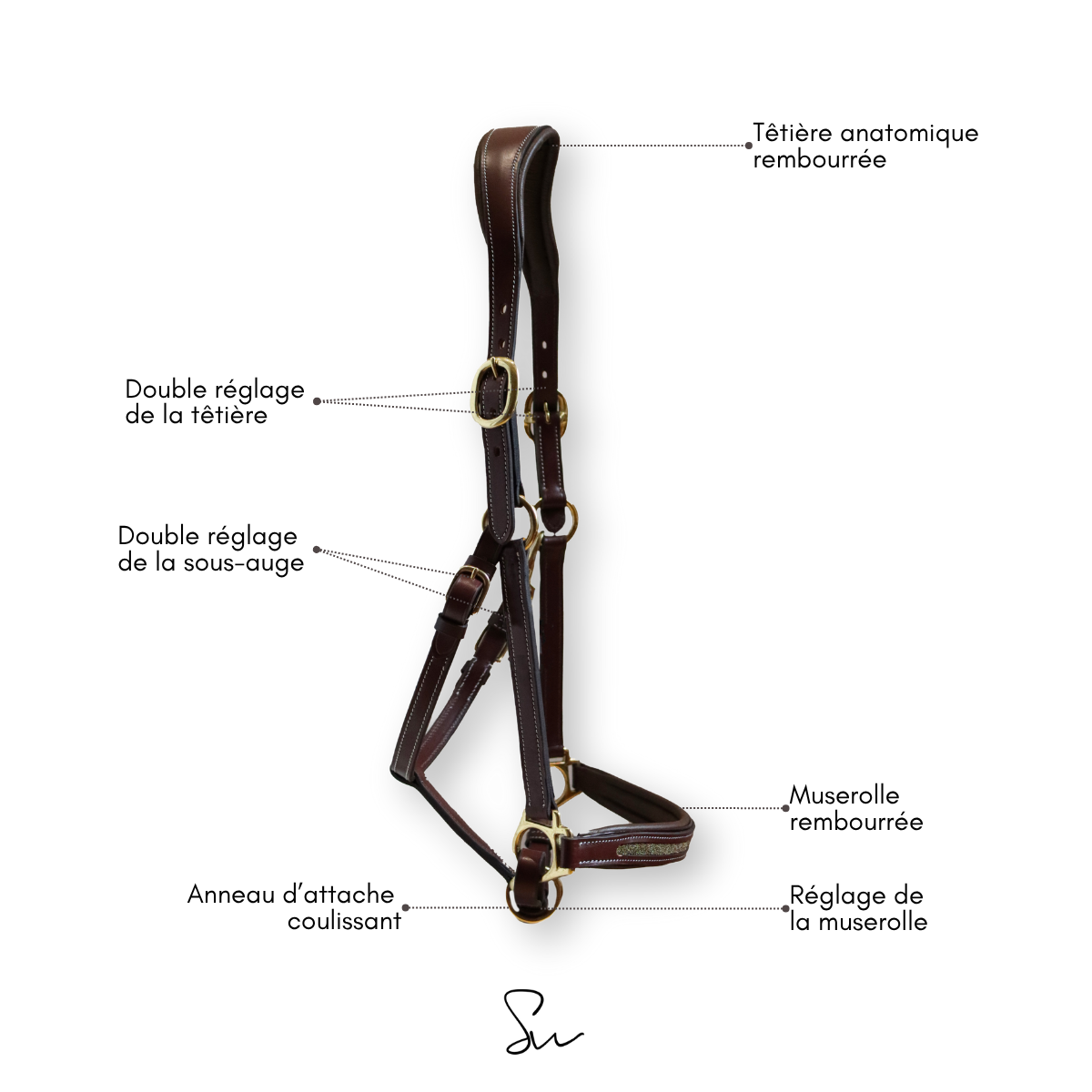 Licol personnalisable en cuir Sparkle – Image 4